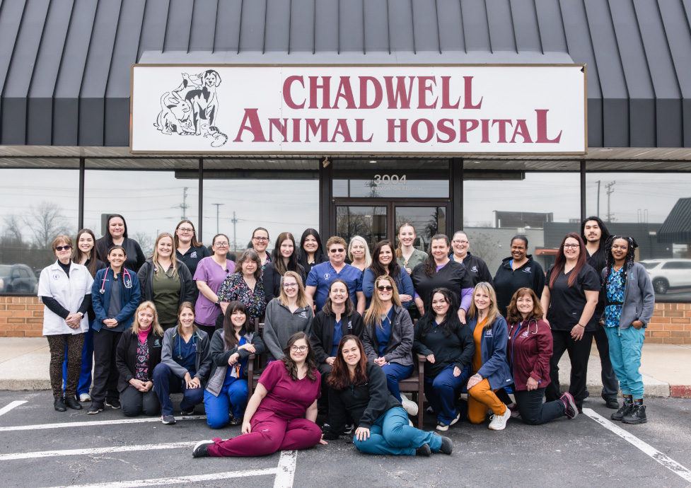 Chadwell Animal Hospital team standing in front of animal hospital building exterior