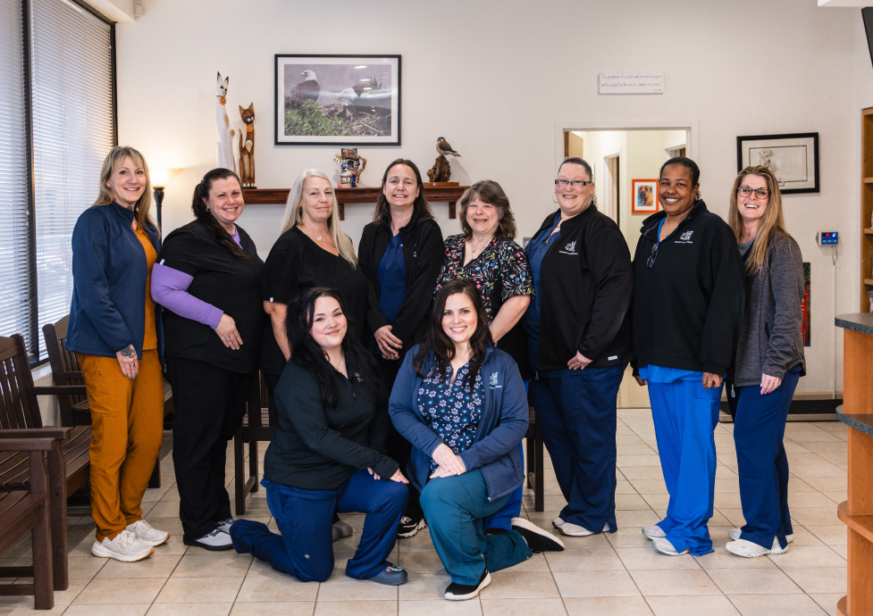 Chadwell Animal Hospital team inside lobby